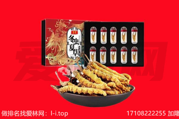 六合区回收虫草.jpg